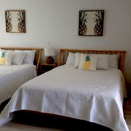 דייטונה ביץ' Pineapple Shores Inn Unit 1 מראה חיצוני תמונה